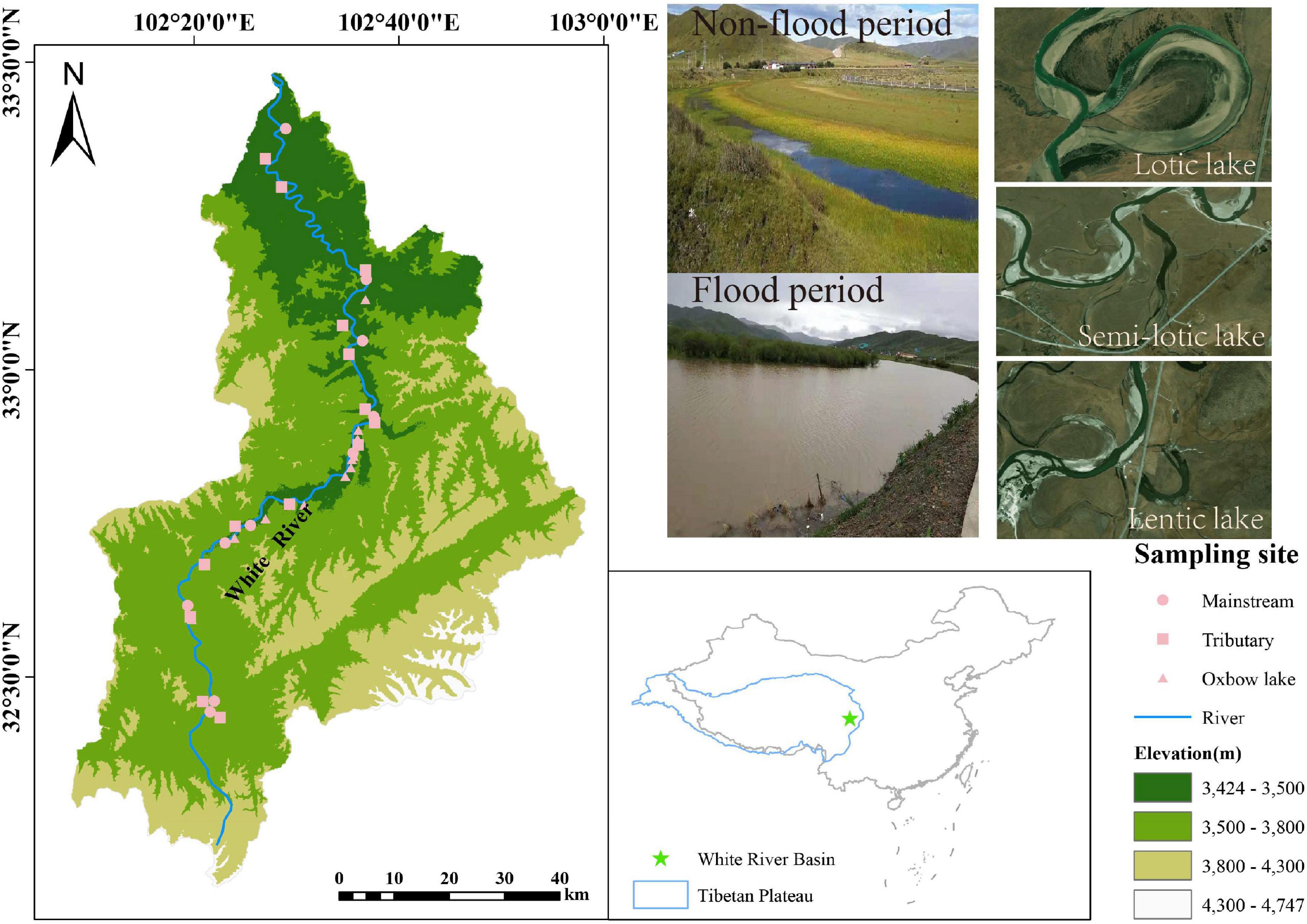 Seasonal variation of phytoplankton community assembly processes in Tibetan Plateau floodplain